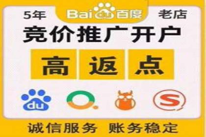 某品牌通过百度广告实现快速增长的案例